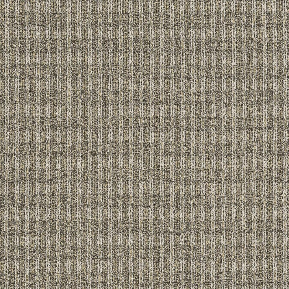 Shaw Fair Shake Carpet in Oath
