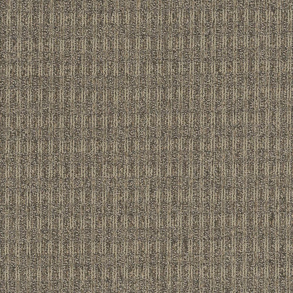 Shaw Fair Shake Carpet in Integrity