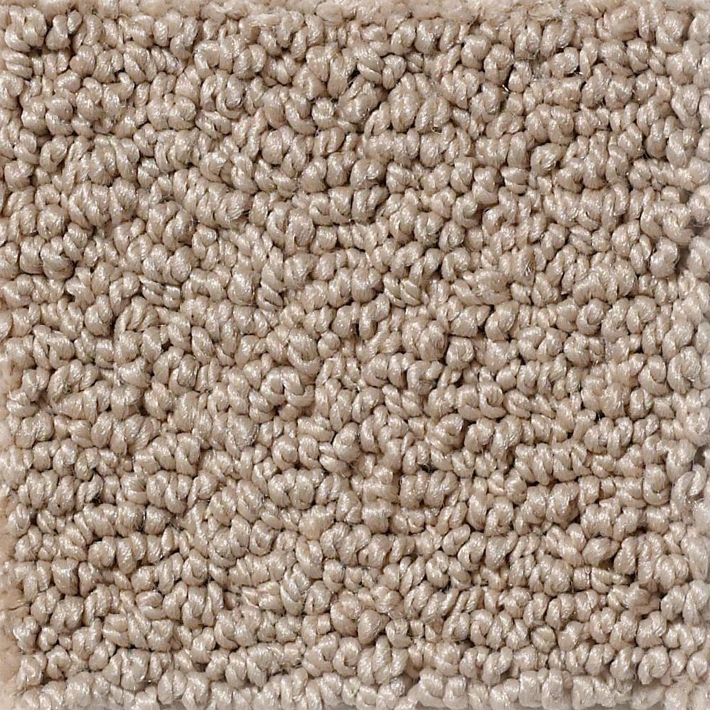 Shaw Detailed Statement Loop Carpet in Clay Stone