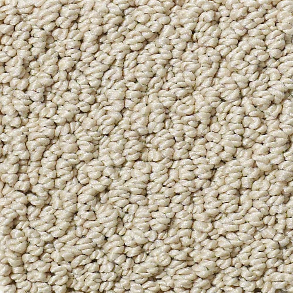 Shaw Detailed Statement Loop Carpet in Beach Walk