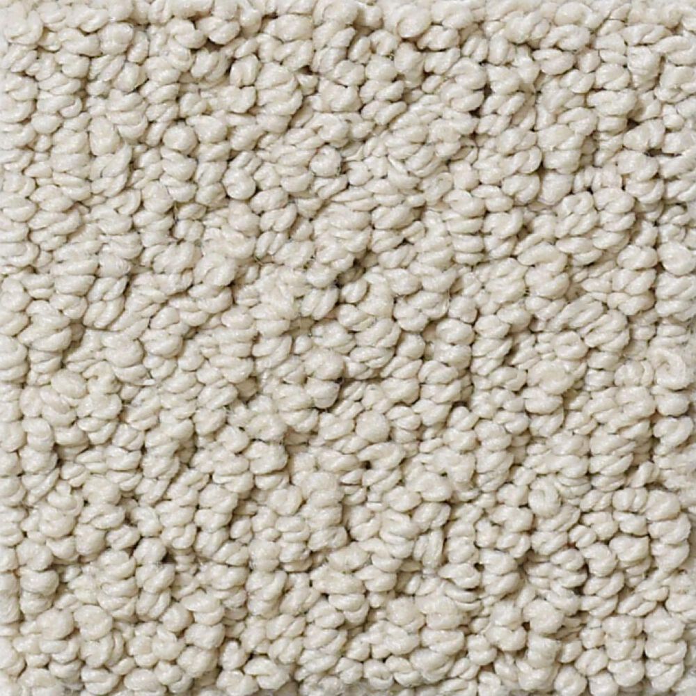 Shaw Detailed Statement Loop Carpet in Bare Essence