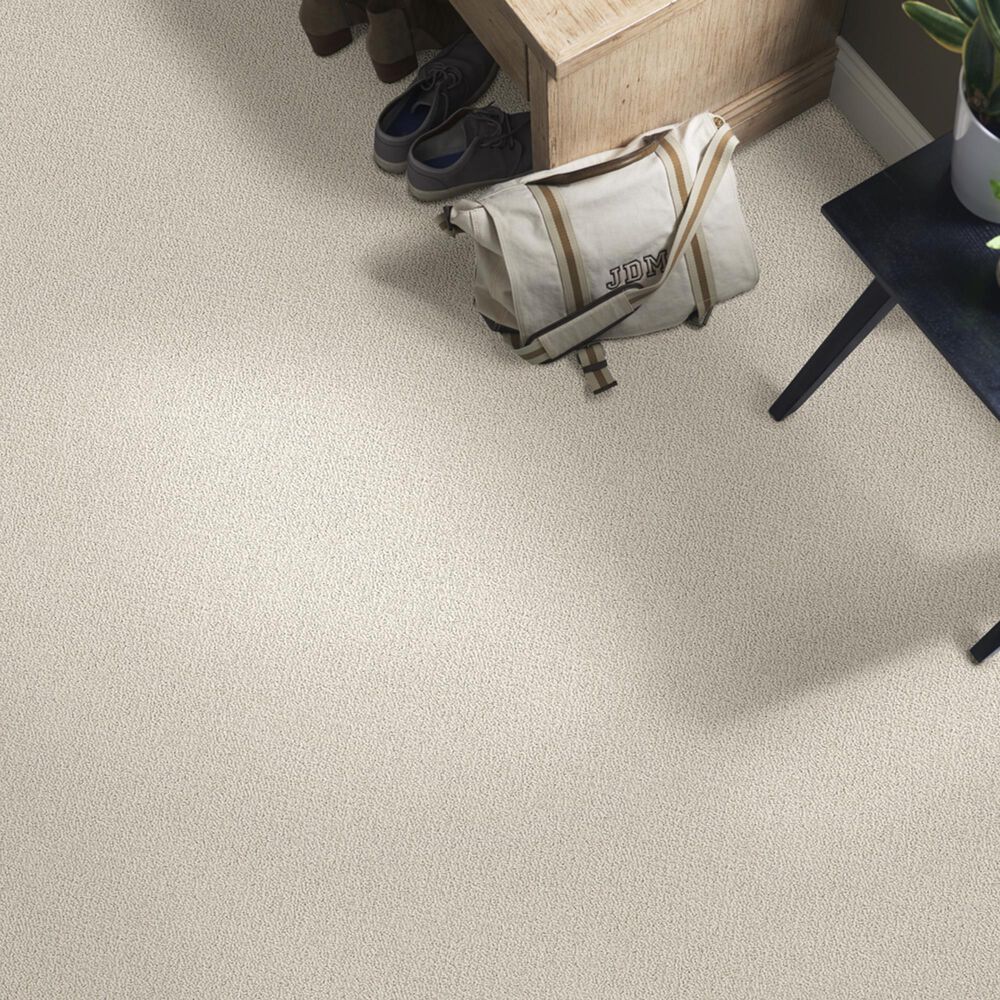 762-shaw-detailed-statement-loop-carpet-in-bare-essence-1.jpg