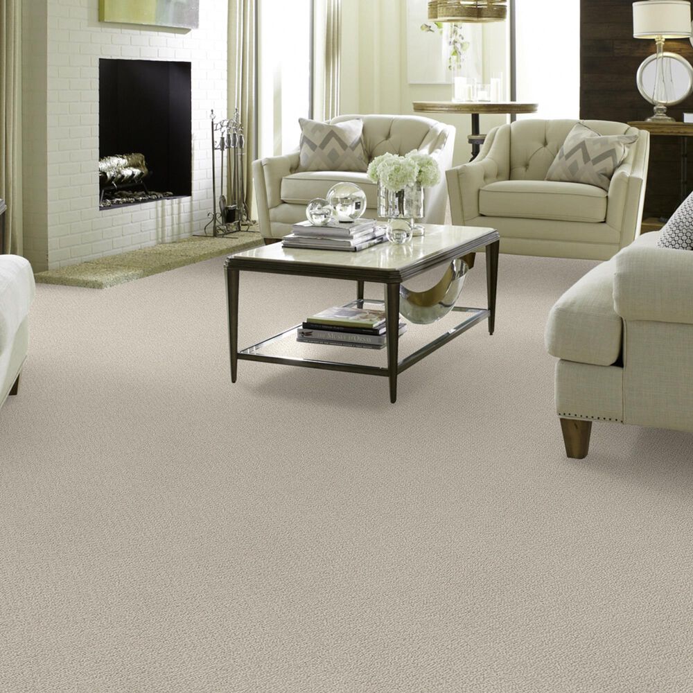 762-shaw-detailed-statement-loop-carpet-in-bare-essence-1.jpg