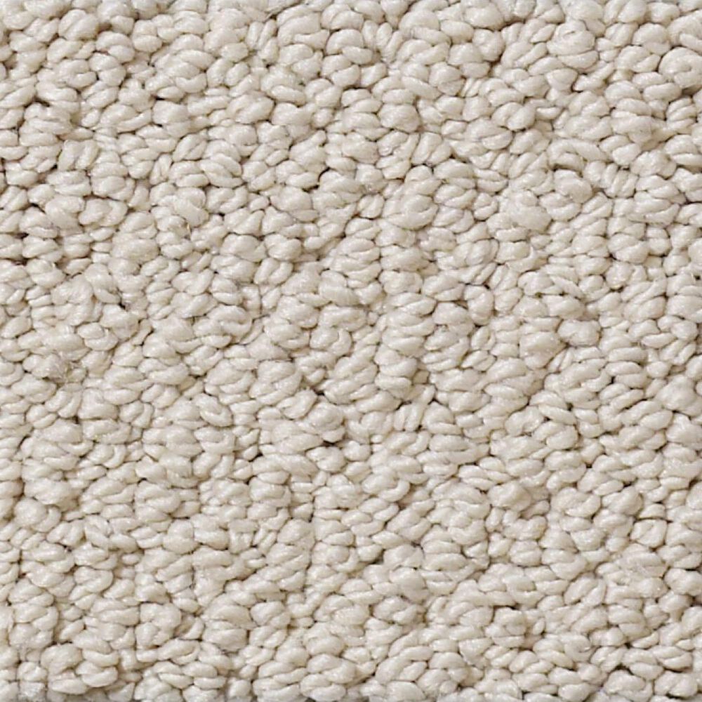 Shaw Detailed Statement Loop Carpet in Natural