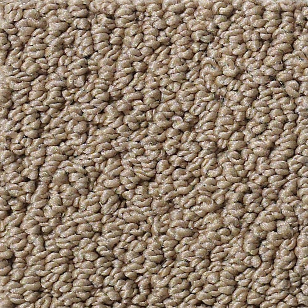 Shaw Detailed Statement Loop Carpet in Twig