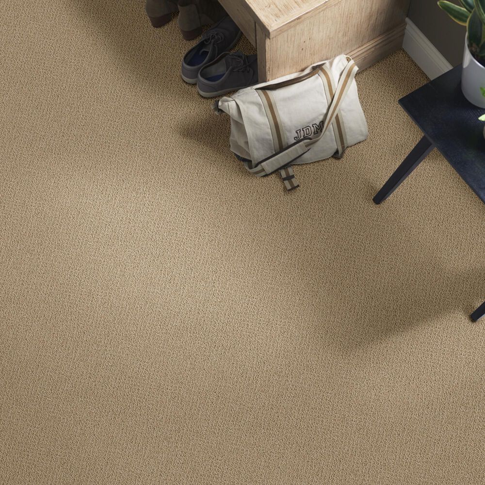 769-shaw-detailed-statement-loop-carpet-in-twig-1.jpg
