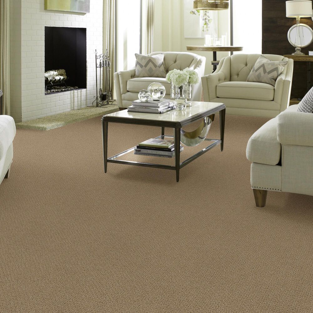 769-shaw-detailed-statement-loop-carpet-in-twig-1.jpg