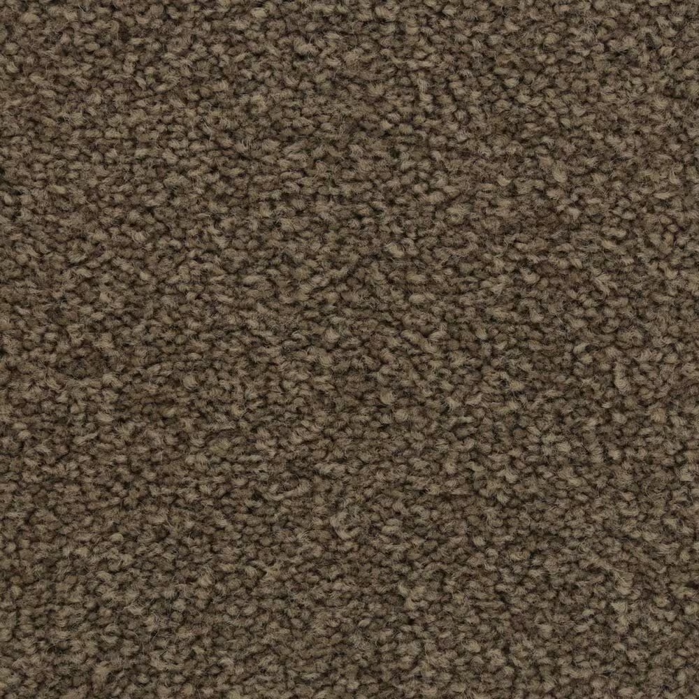 Mohawk Coastal Luxury II Carpet in Treasure Chest
