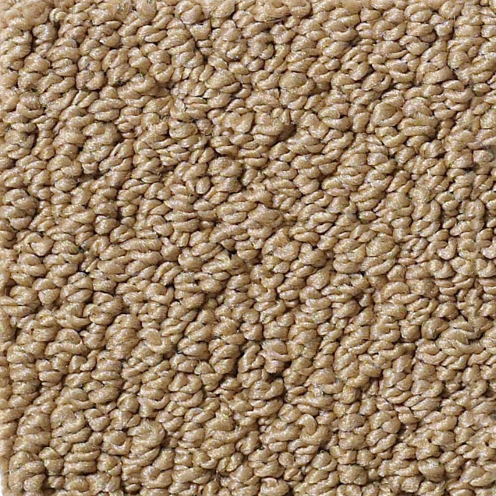 Shaw Detailed Statement Loop Carpet in Honey Pot