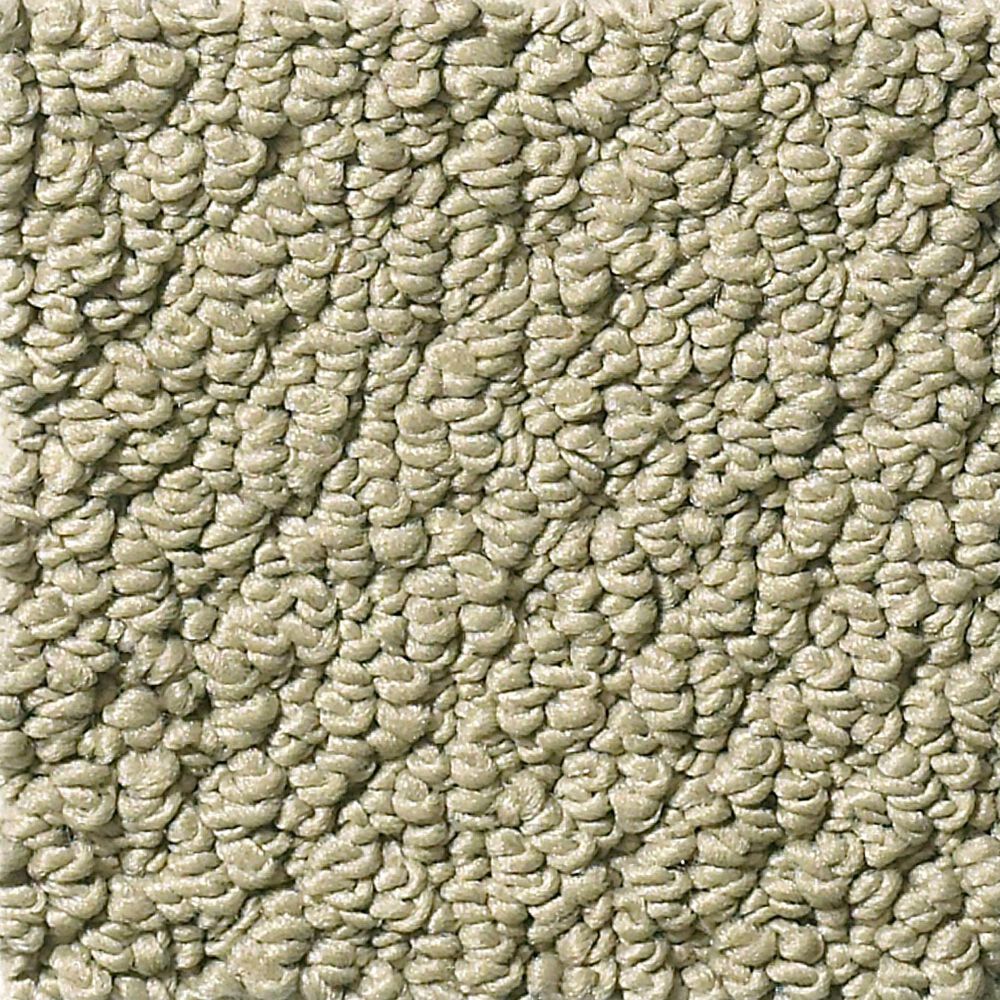 Shaw Detailed Statement Loop Carpet in Rocky Coast