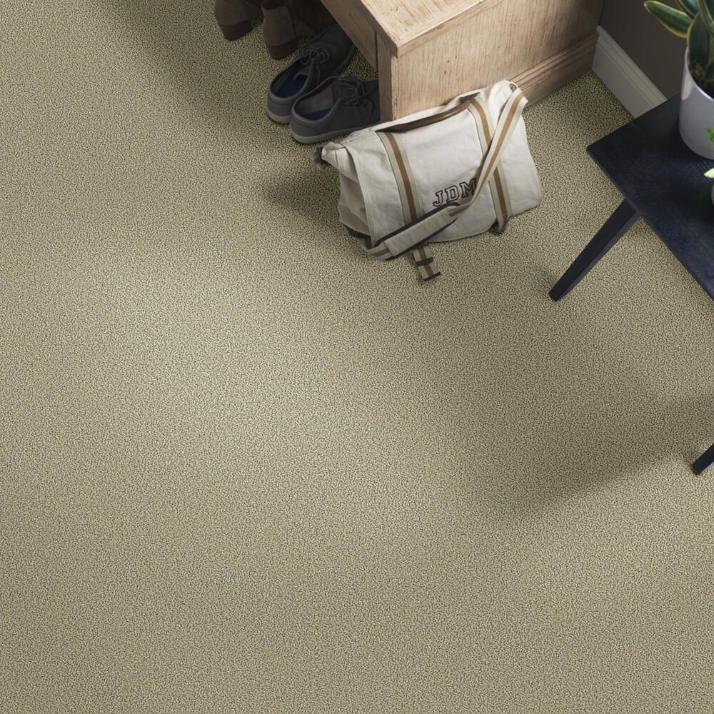 771-shaw-detailed-statement-loop-carpet-in-rocky-coast-1.jpg