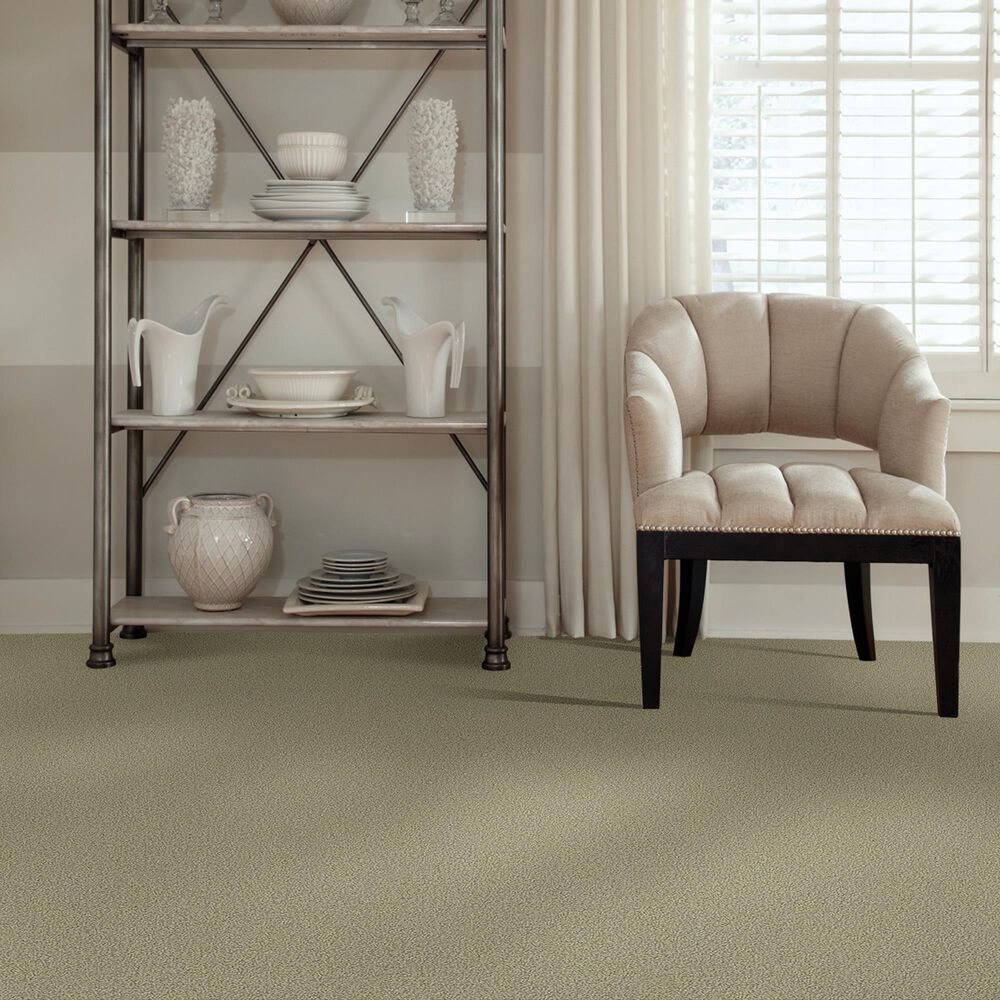 771-shaw-detailed-statement-loop-carpet-in-rocky-coast-1.jpg