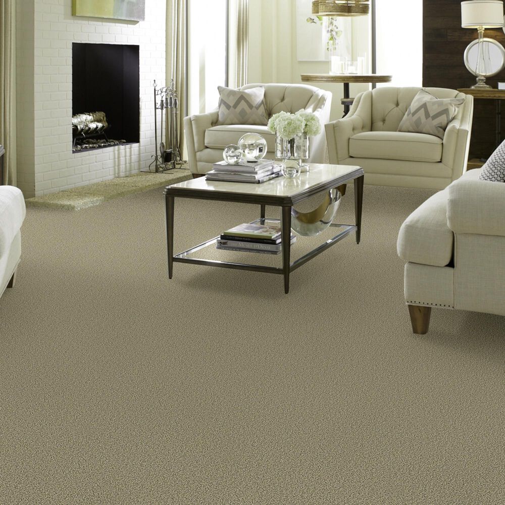 771-shaw-detailed-statement-loop-carpet-in-rocky-coast-1.jpg