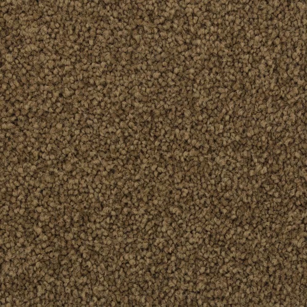 Mohawk Coastal Luxury II Carpet in Havana