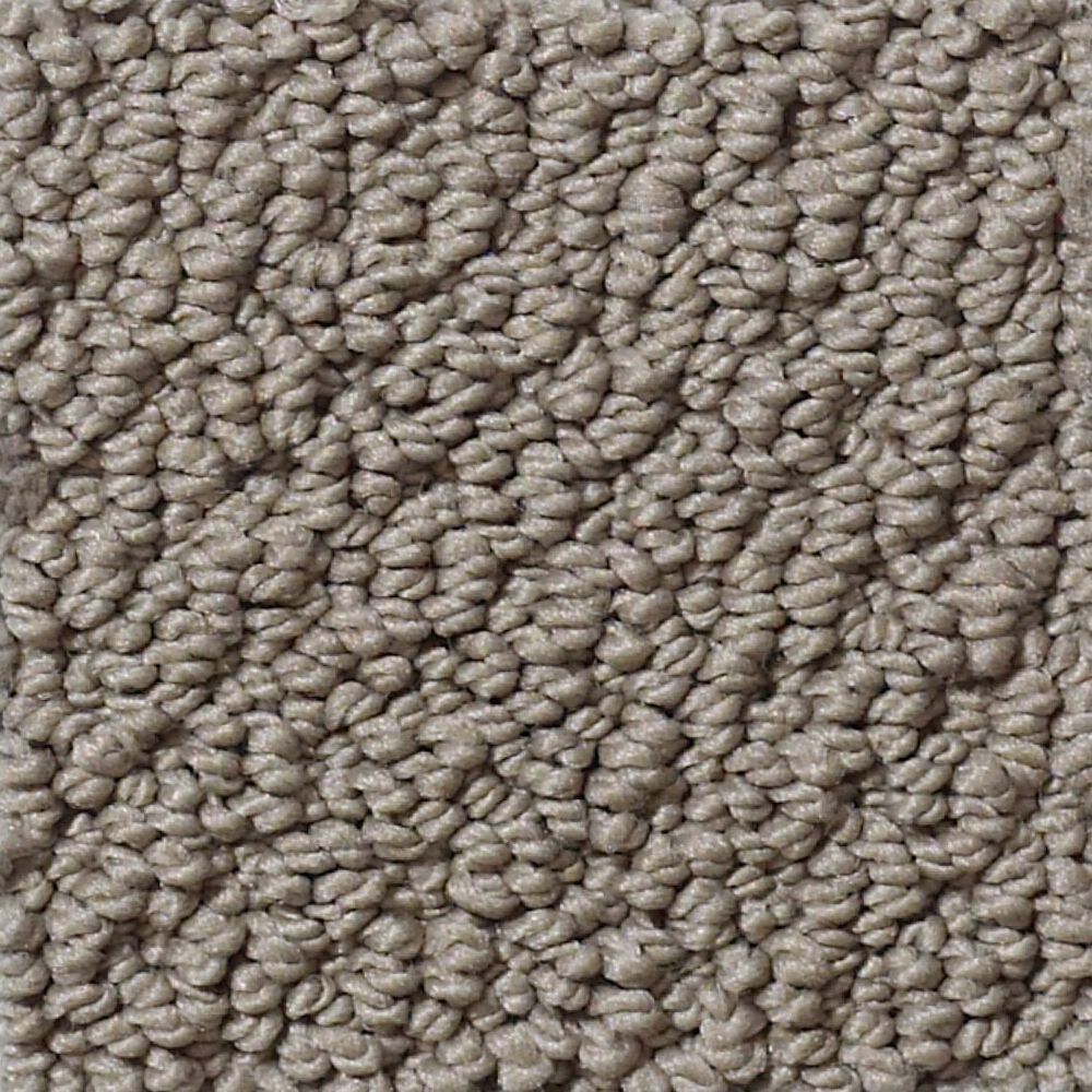 Shaw Detailed Statement Loop Carpet in Rustic Elegance