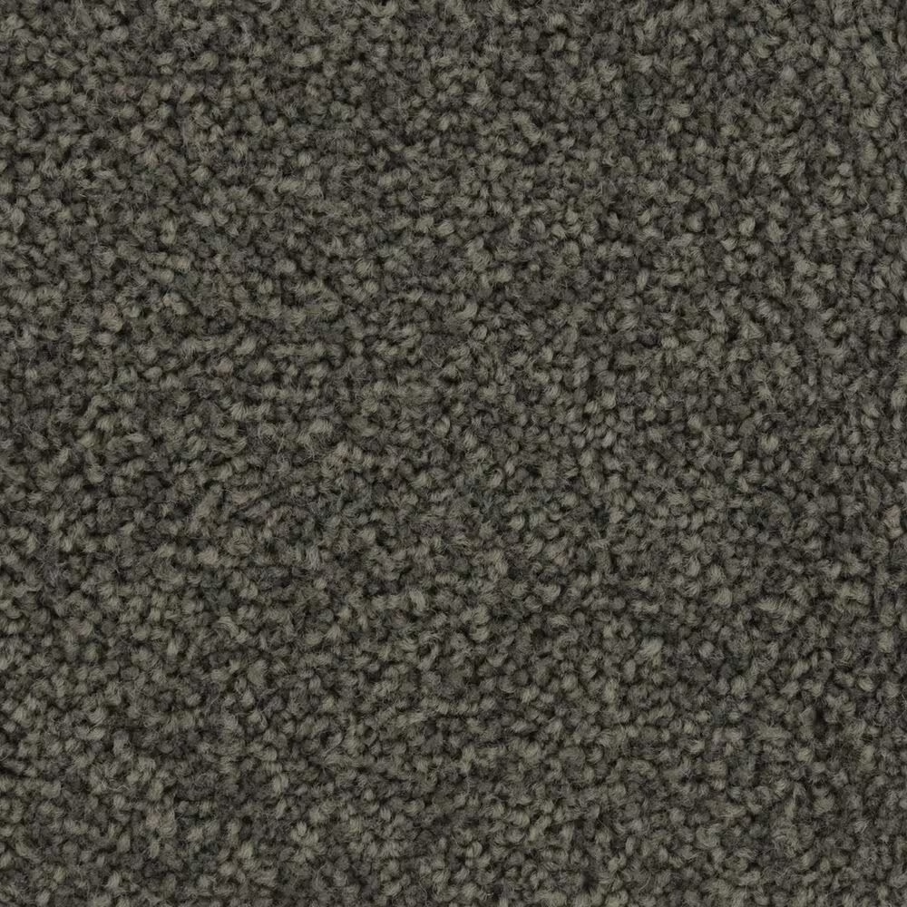 Mohawk Coastal Luxury II Carpet in Netting