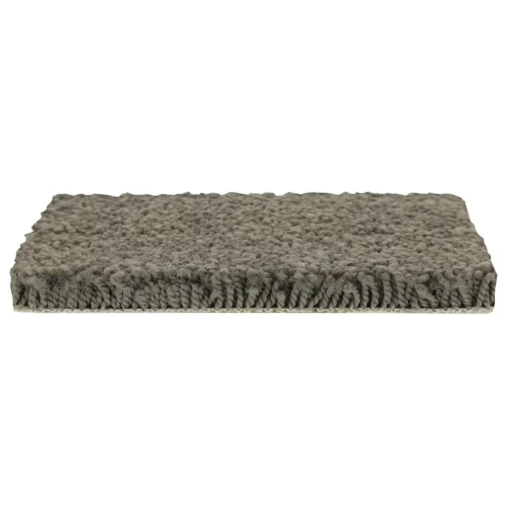 77204-mohawk-coastal-luxury-ii-carpet-in-netting-1.jpg