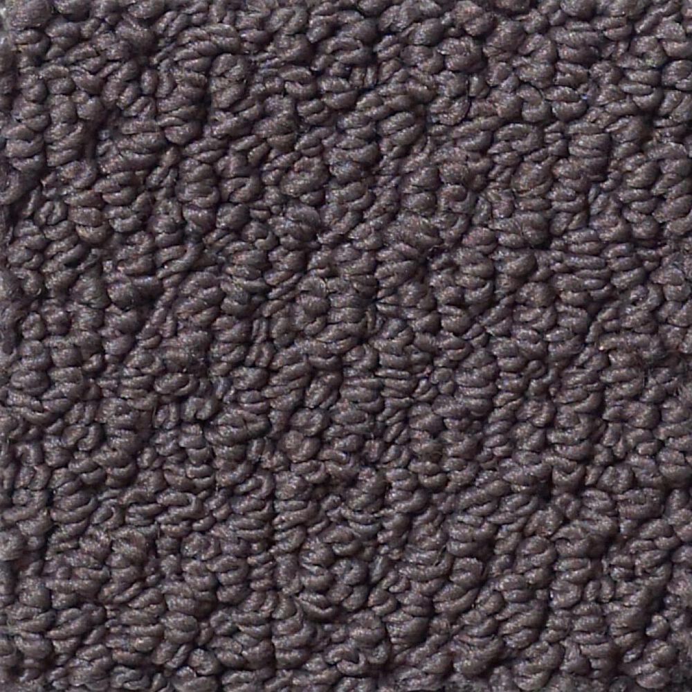 Shaw Detailed Statement Loop Carpet in Urban Loft