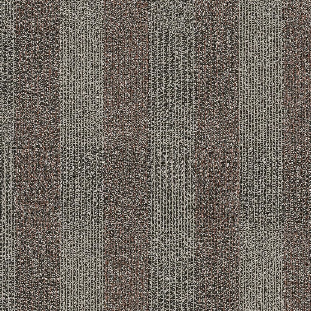 Shaw Square Deal Carpet in Agreement