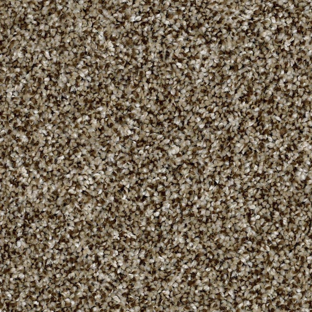 Shaw Work The Color Net Carpet in Honey Bear