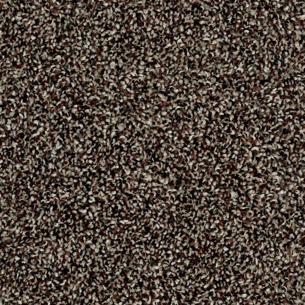 Shaw Work The Color Net Carpet in Manor House