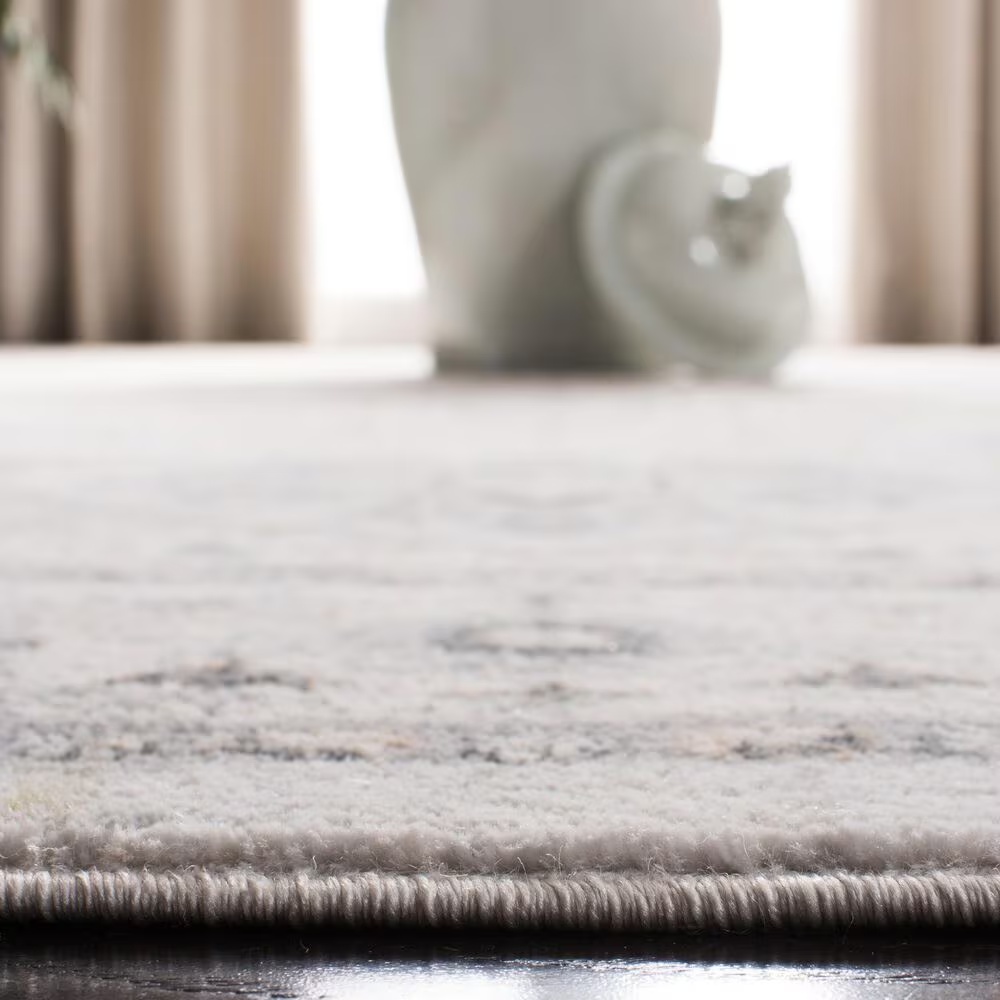 80968-safavieh-isabella-3-x-5-light-gray-and-gray-area-rug-1.jpg
