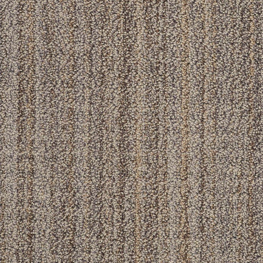 Anderson Tuftex Sundance Carpet in Buckaroo