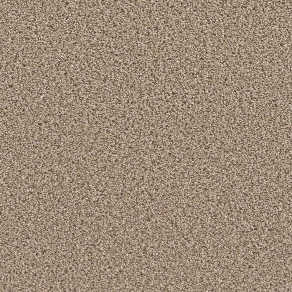 Dream Weaver Downtown Carpet in Mocha