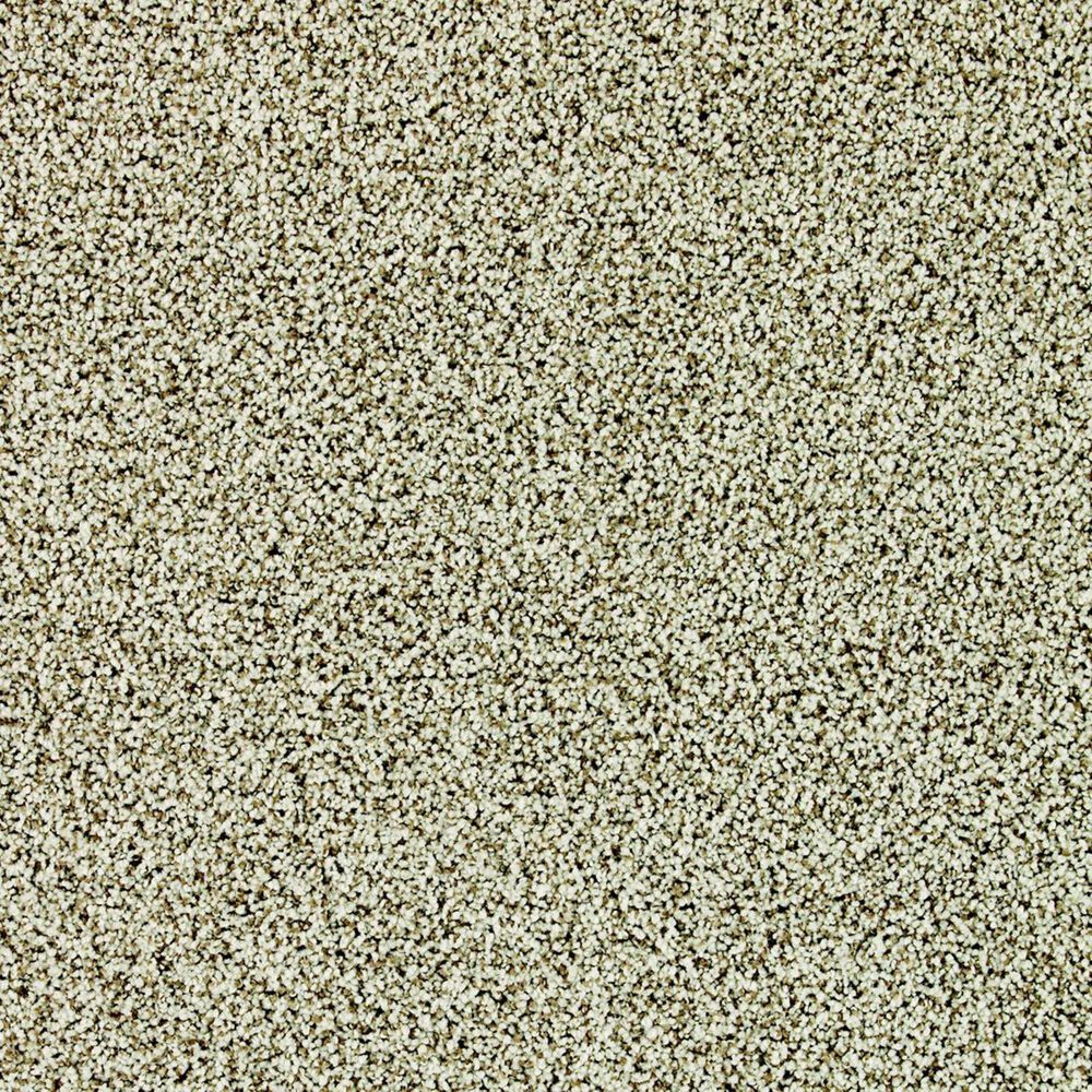 Karastan Dover Coast Carpet in Cliffside