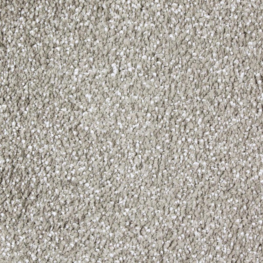 Mohawk Superior Taste Carpet in Classical