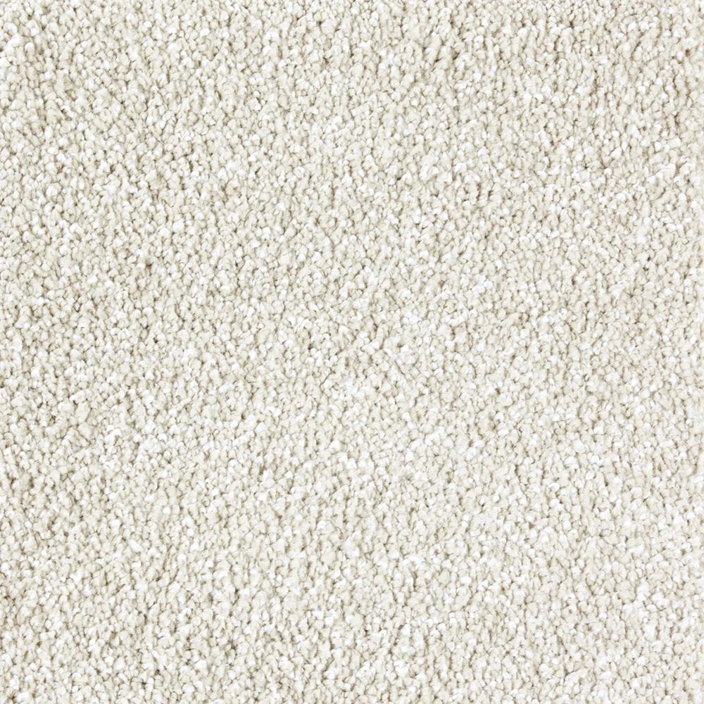 Mohawk Superior Taste Carpet in Enchanting