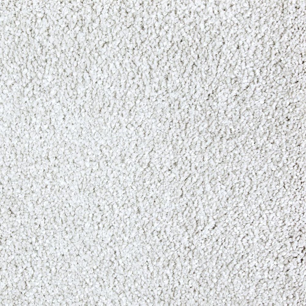 Mohawk Superior Taste Carpet in Homage
