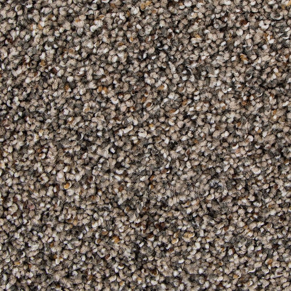 Mohawk Exquisite Flair Carpet in Raleigh