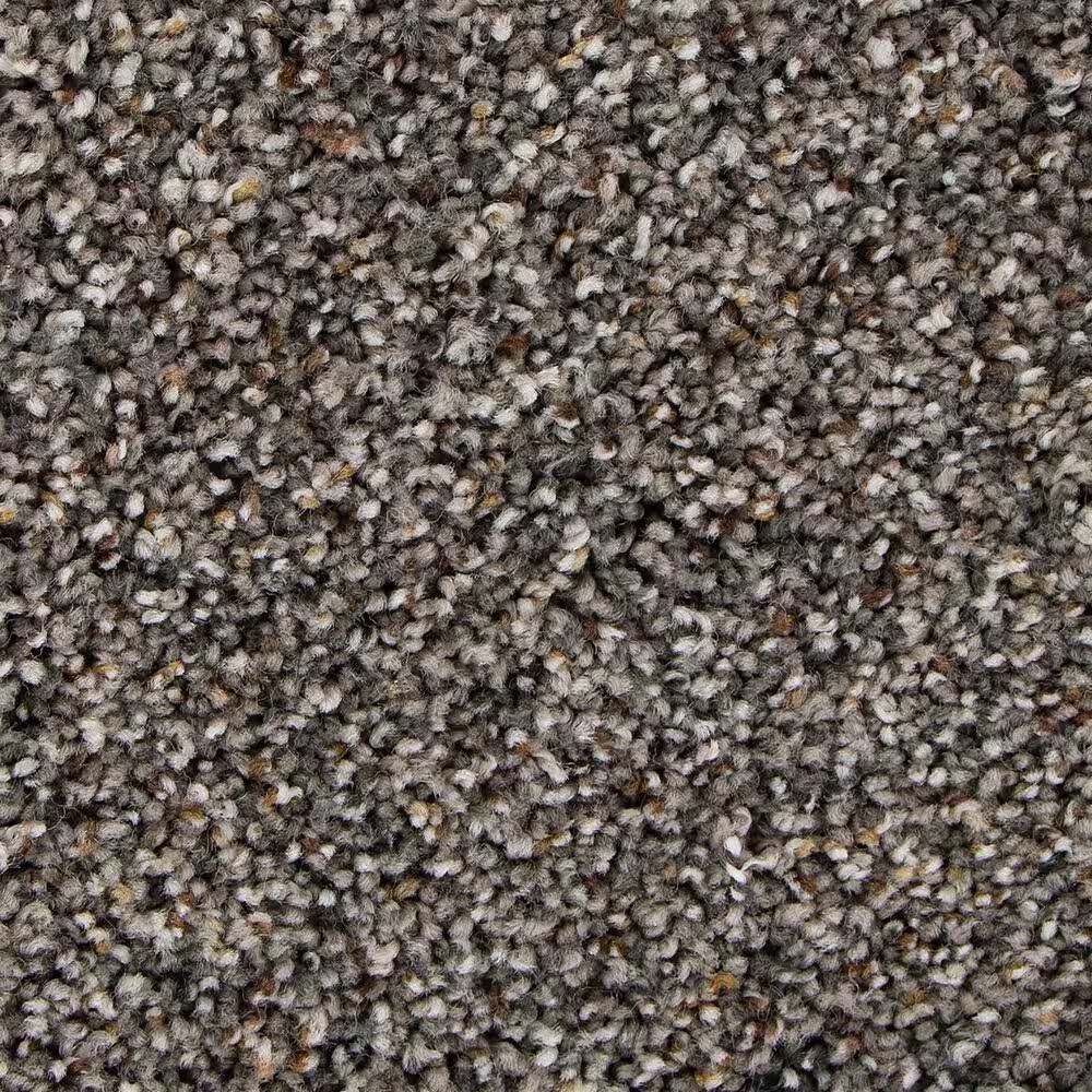 Mohawk Exquisite Flair Carpet in Urban