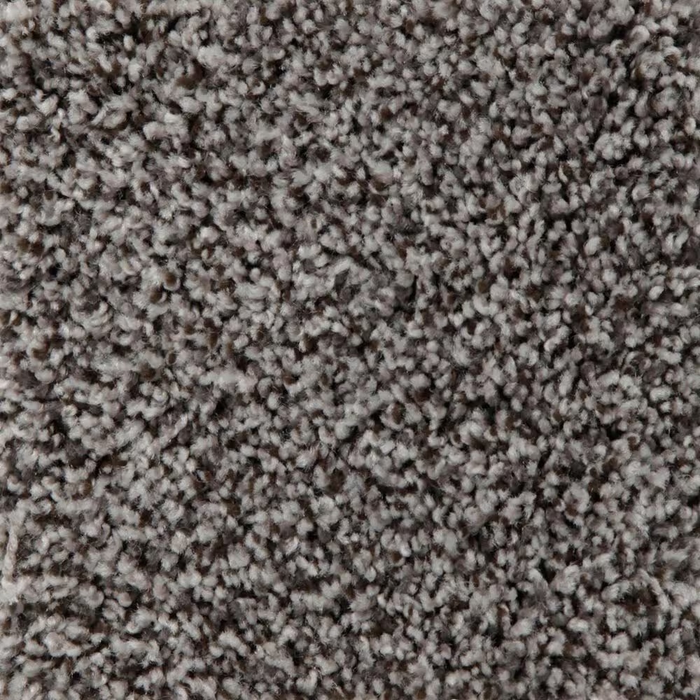 Mohawk Artistic Retreat Carpet in Amazon Star