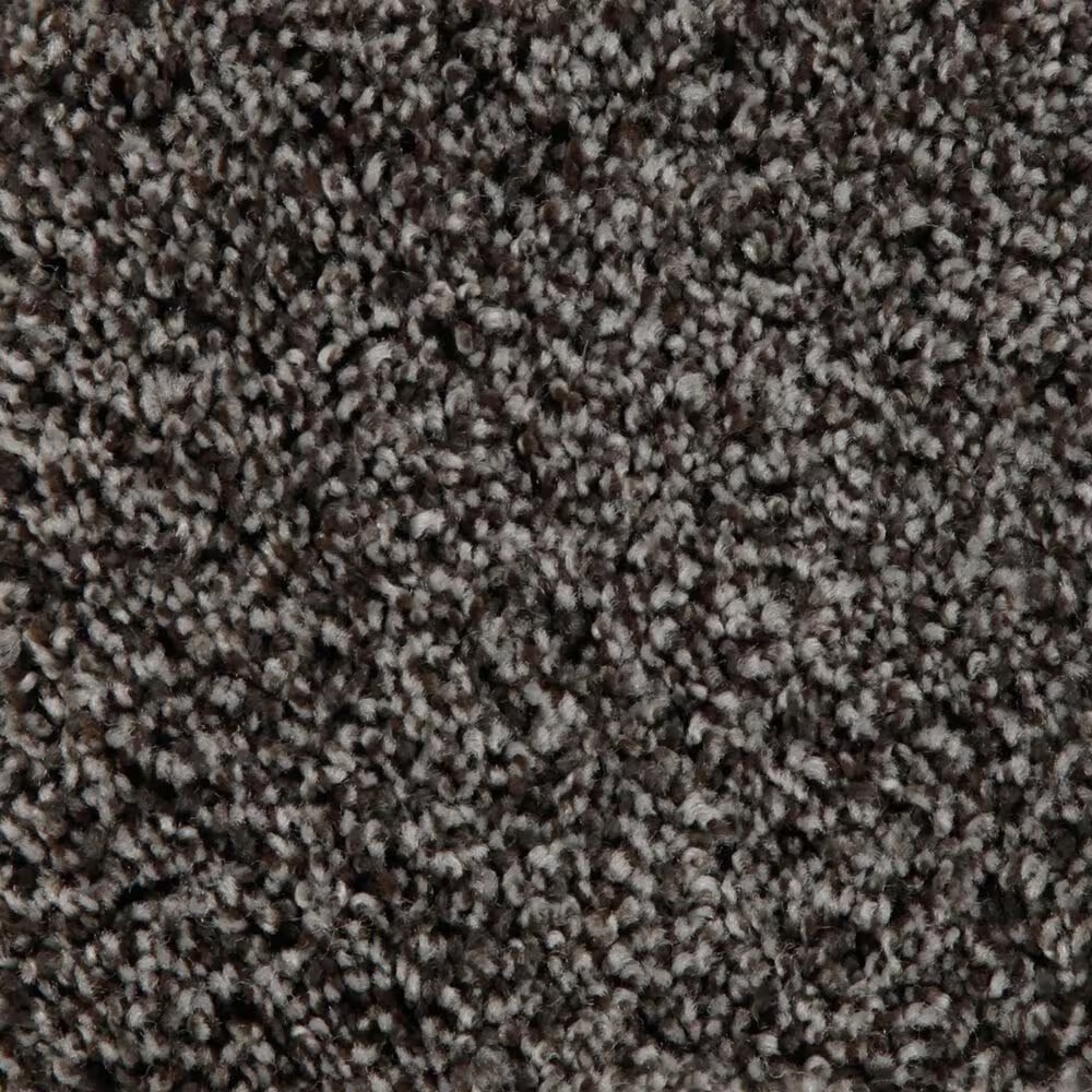 Mohawk Artistic Retreat Carpet in Stormy Night