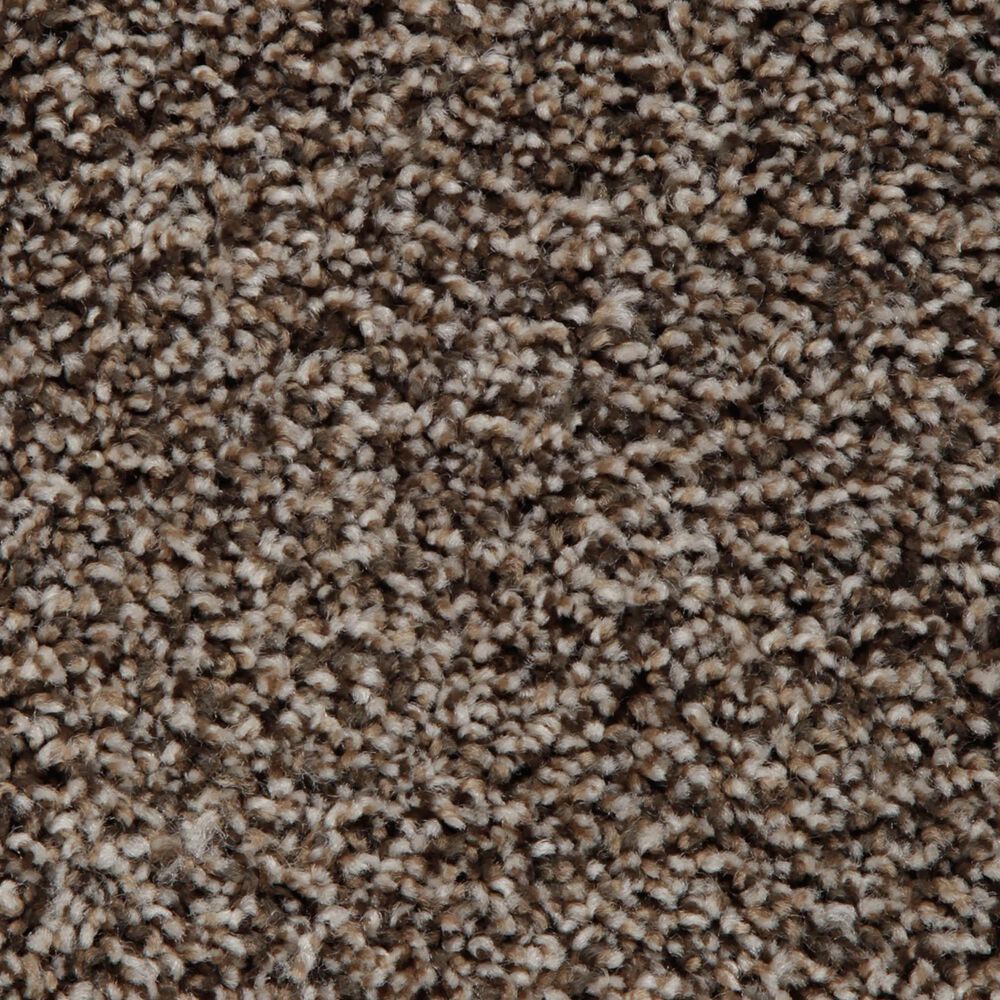 Mohawk Artistic Retreat Carpet in Dakota Dawn