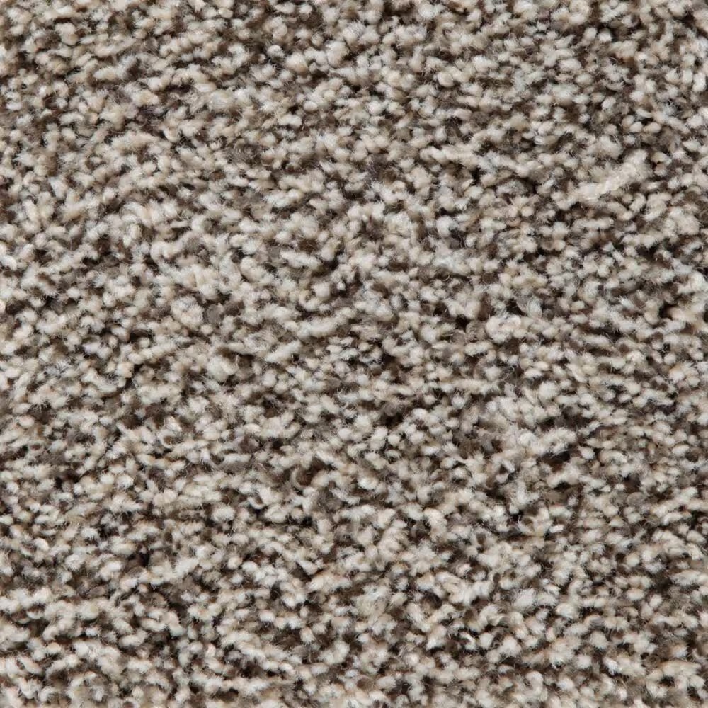 Mohawk Artistic Retreat Carpet in Antique Ice