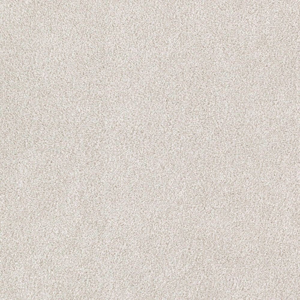 Mohawk Impressive Notion Carpet in Warm Fog