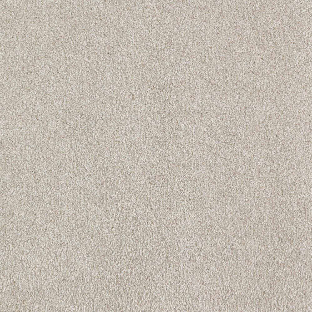 Mohawk Impressive Notion Carpet in Stellar
