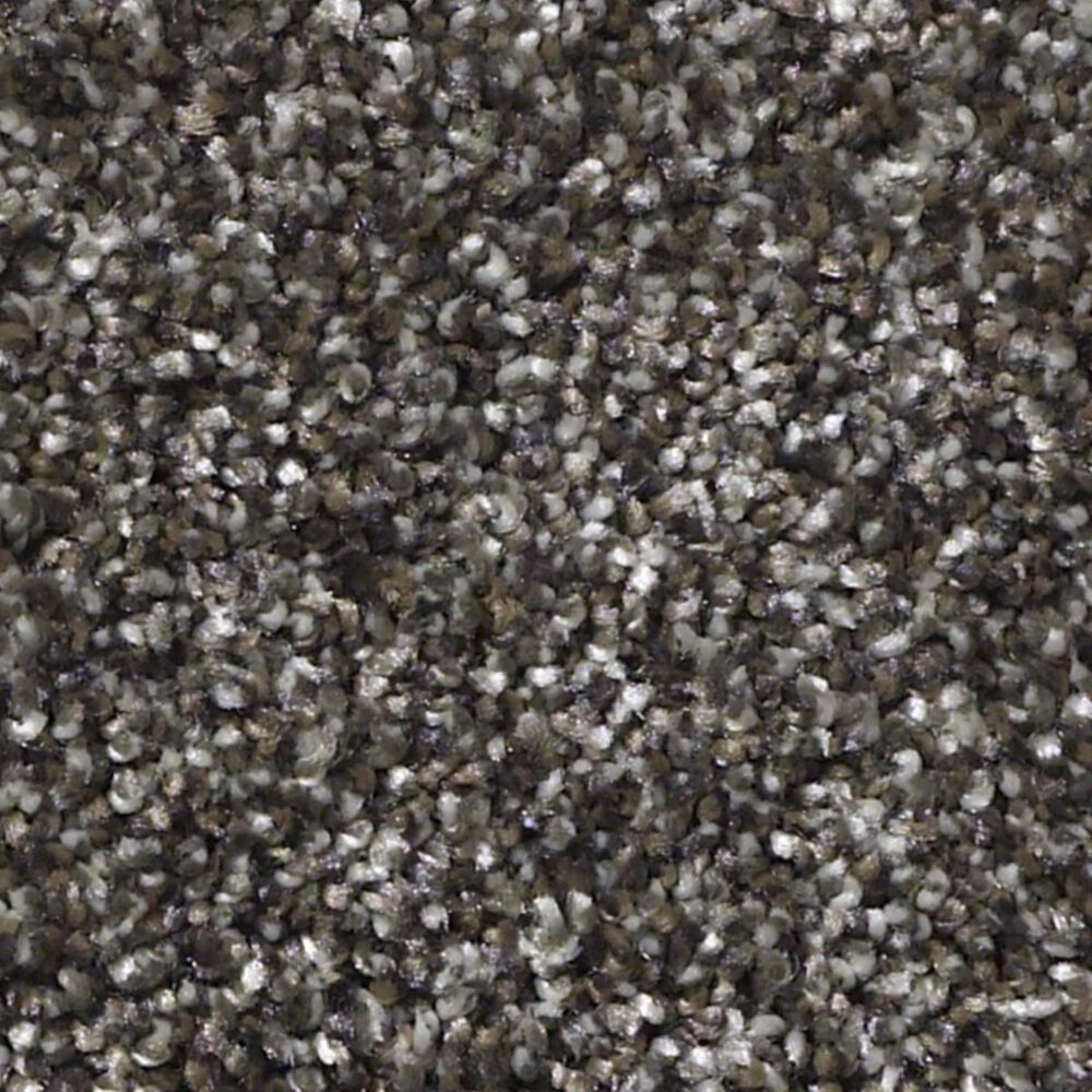 Shaw Luminous Carpet in English Walnut