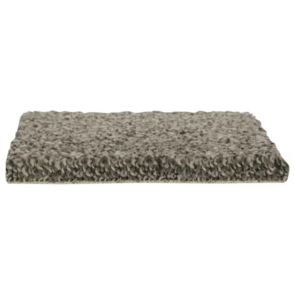 Mohawk Pop Icon Color Color Current Mohawk Popular Design Carpet In Espresso - NFM