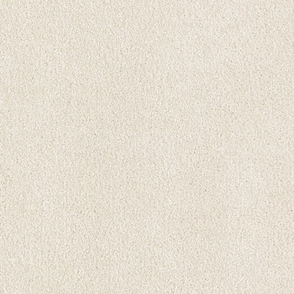 Mohawk Popular Design Carpet in Winter Wind