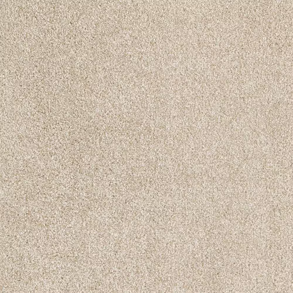 Mohawk Popular Design Carpet in Sparkling Cider