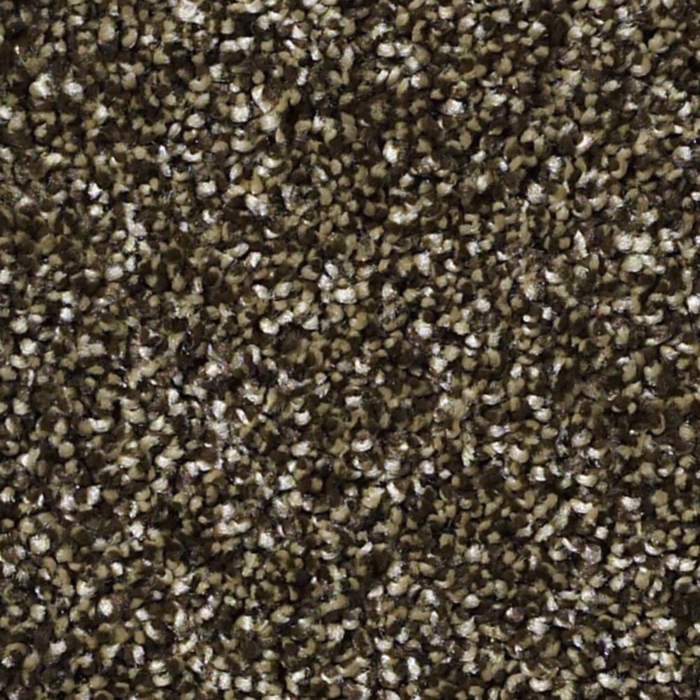 Shaw Luminous Carpet in Bunk House