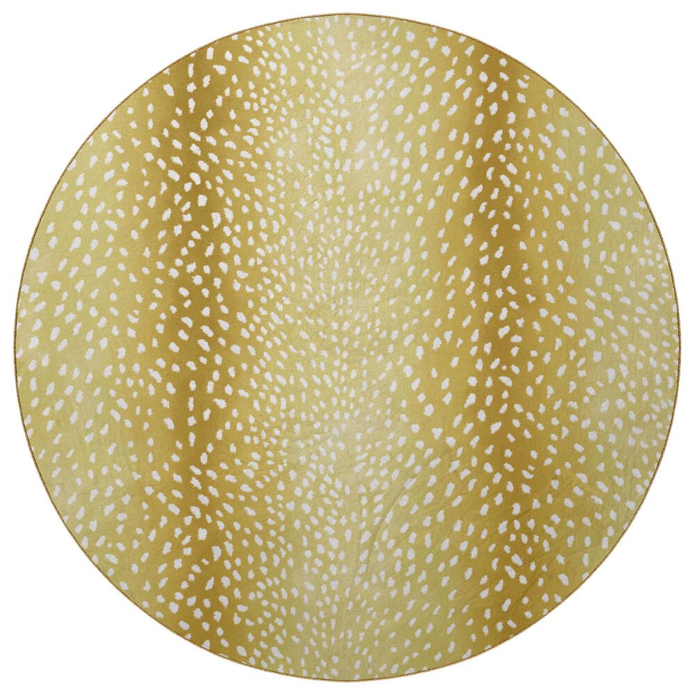 Dalyn Rug Company Akina AK3 8' Round Gold Area Rug
