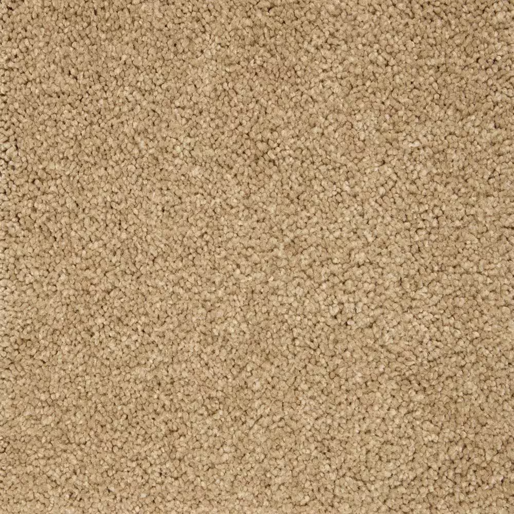 Mohawk Pleasant Touch Carpet in Canterbury