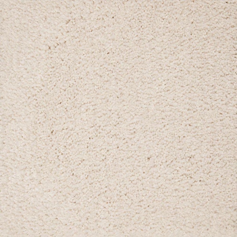 Mohawk Pleasant Touch Carpet in Dovetail