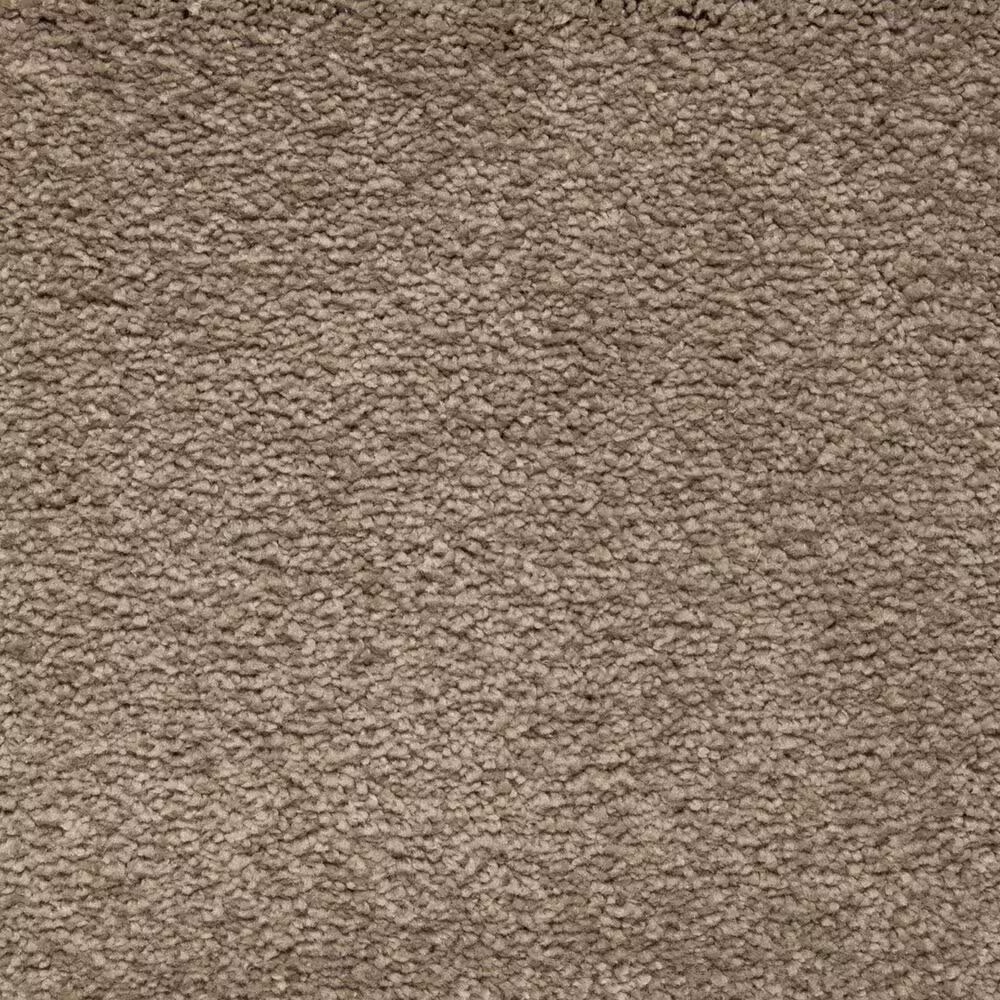 Mohawk Pleasant Touch Carpet in Gondola