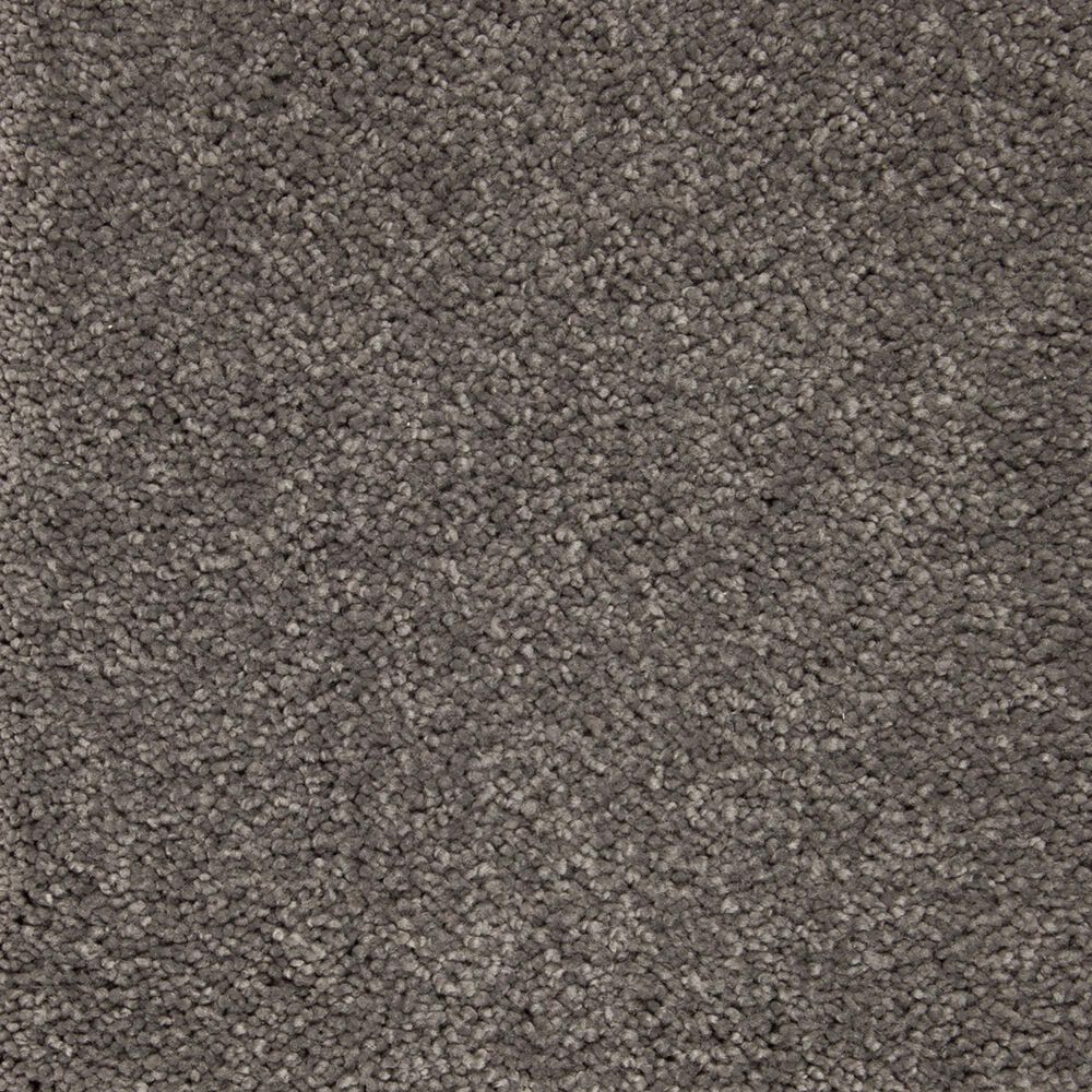 Mohawk Pleasant Touch Carpet in Keystone
